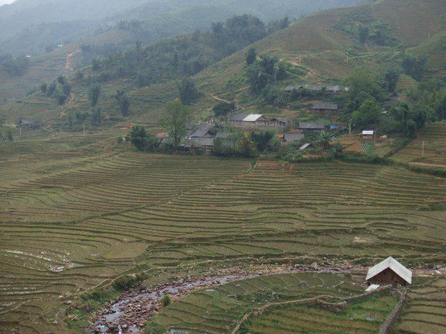 148Rice fields