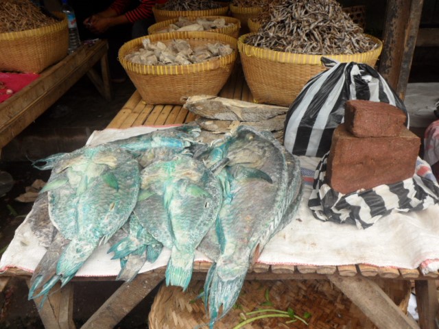 Salted / preserved fish Lombok Indonesia
