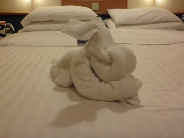 Towel art made by us...rabbit or elephant...you decide!