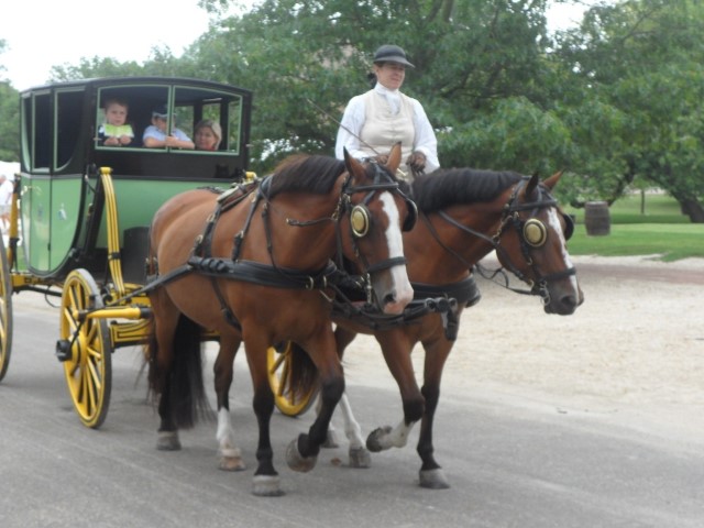 Authentic Horse-drawn Carriage Colonial Williamsburg
