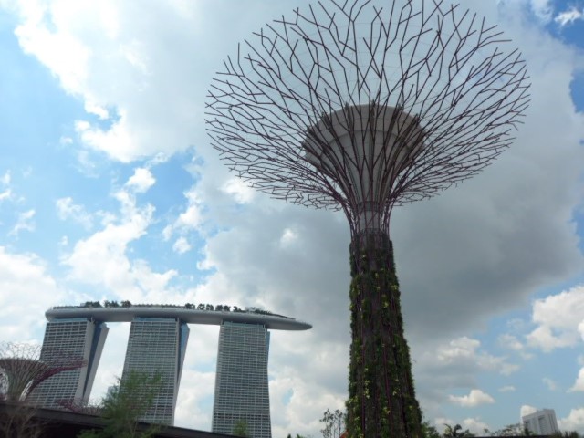 Iconic Supertrees at Gardens by the Bay with Marina Bay Sands as the backdrop