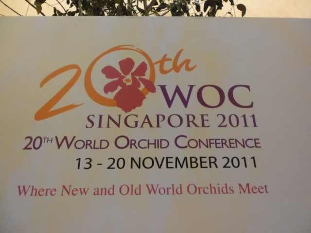 Logo of the 20th World Orchid Conference WOC