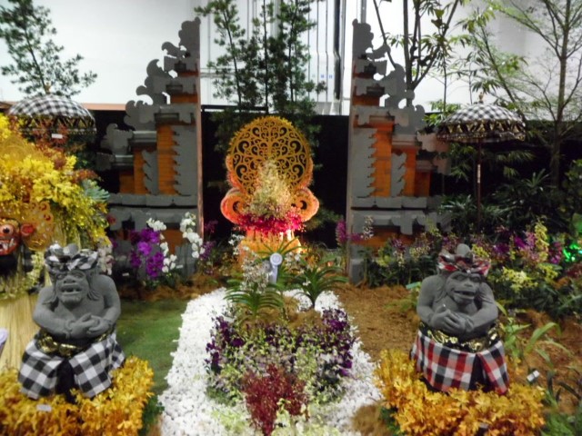 Orchid displays from Indonesia