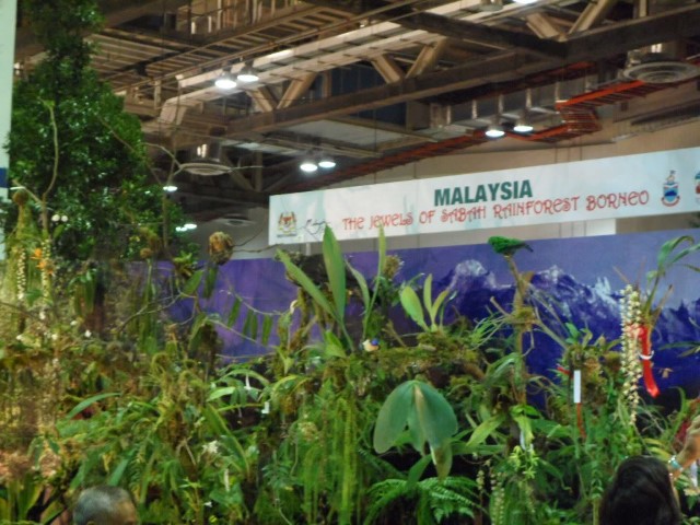 Orchid displays from Malaysia