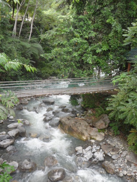 Old bridge that linked to Poring hot springs in Kota Kinabalu
