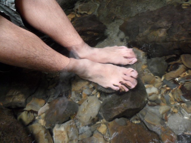 Dr Fish feeding off dead skin on Tom's feet at Kota Kinabalu Kitpungit Waterfalls