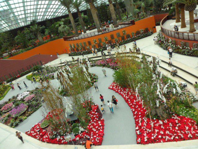 View from the highest point in the flower dome