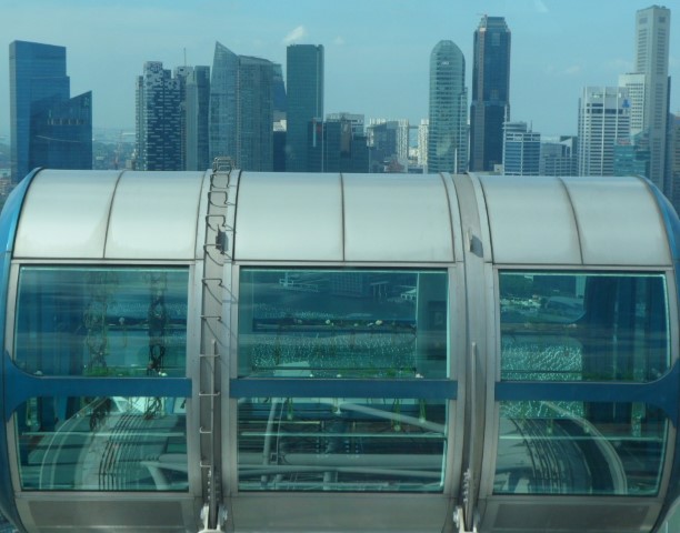 An Artistic Shot of the Singapore Flyer Capsule