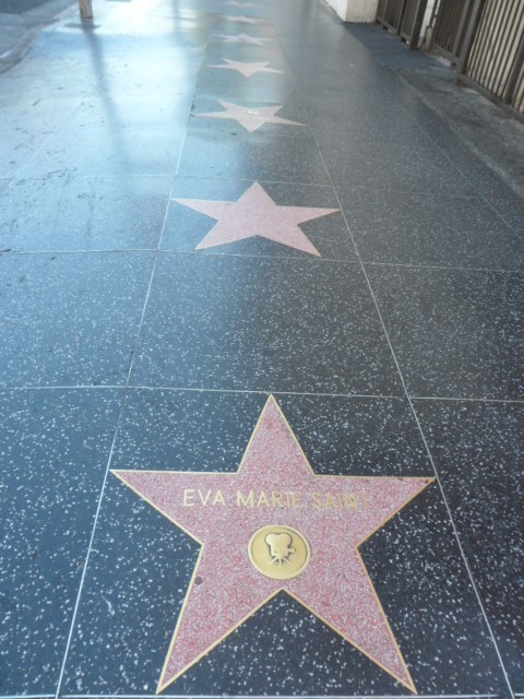 Eva Marie's Star on the Hollywood Walk of Fame
