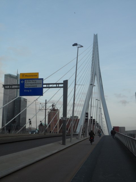 Crossing the Erasmus Bridge