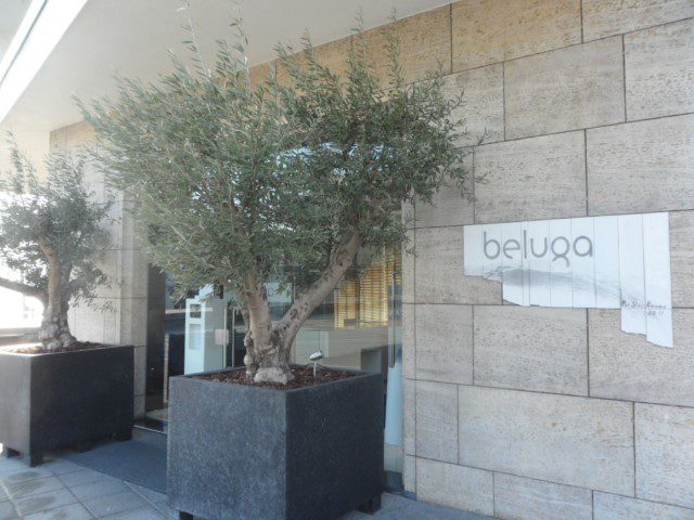 Beluga Michelin Restaurant Maastricht