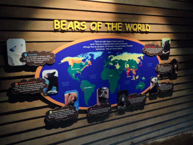 Bears of the World