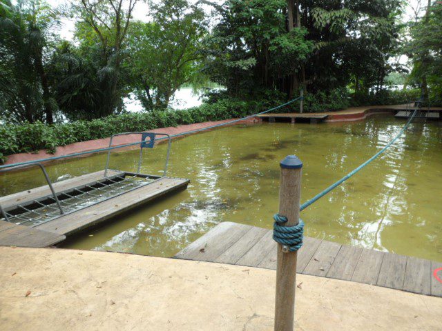 Mini adventure park at Kidzworld Singapore Zoo