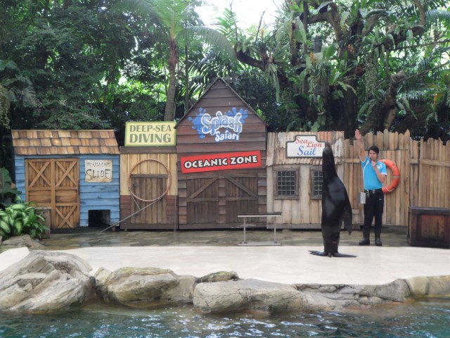 A Low Down Of The Animal Shows at The Singapore Zoo