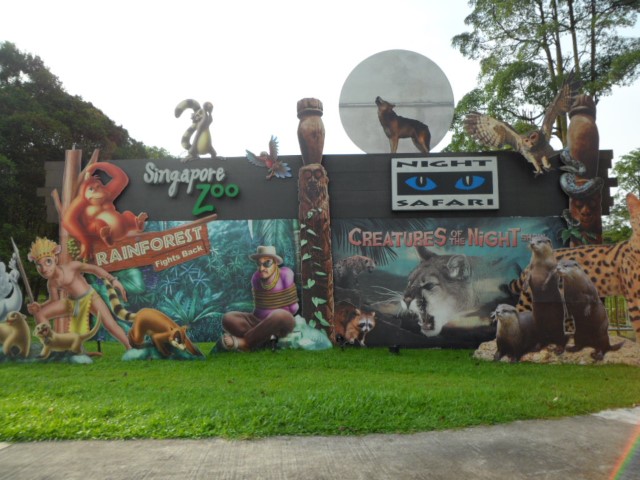 Highlights of the Singapore Zoo