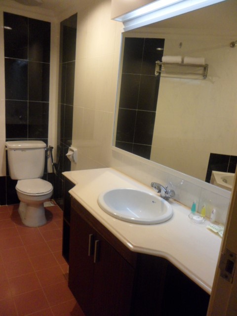 Toilet on the second level in one bedroom suite