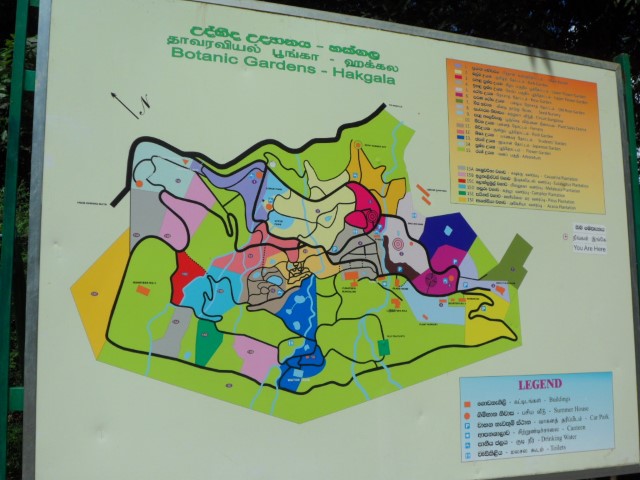 Map of HUGE Hakgala Botanical Gardens