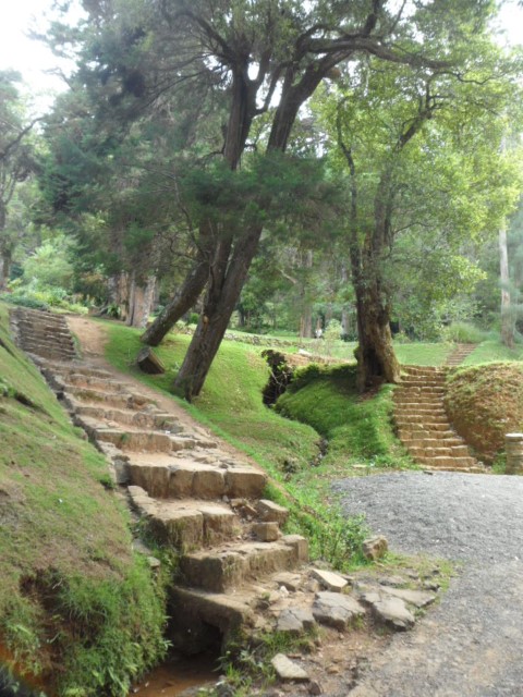 One of the many rocky steps in the Hakgala Botanical Gardens