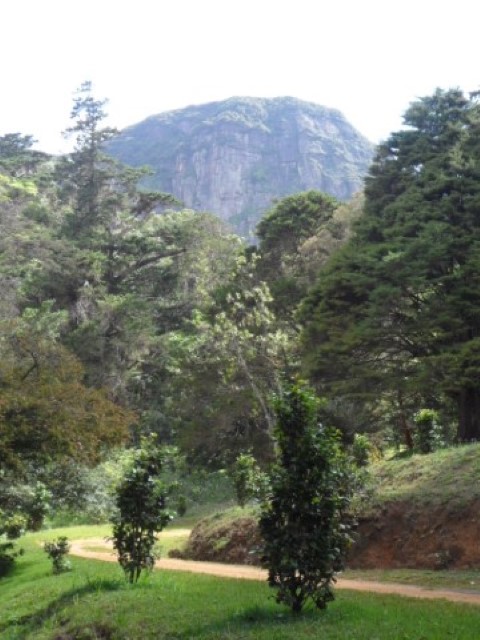 Hill top Hakgala Botanical Gardens