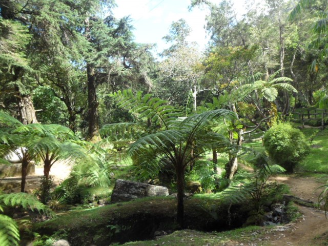 Rock Garden at Hakgala Botanical Gardens