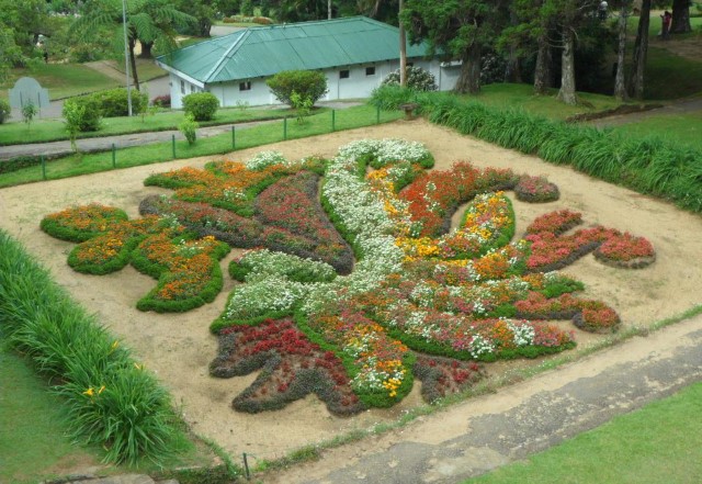 Pretty arrangement of flowers at Hakgala Botanical Gardens