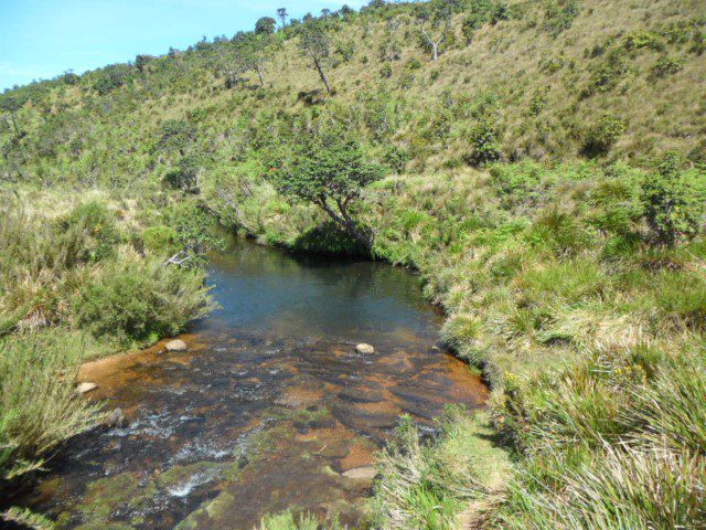 Small Stream along the plains