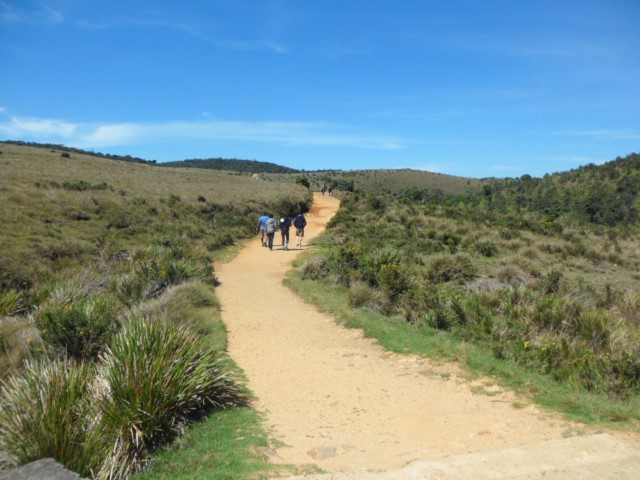 One of the easier-to-walk-flat-ground at Horton Plains National Park