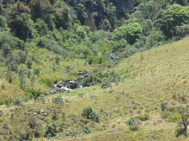 We Can Hear the Waterfall! Are We There Yet!