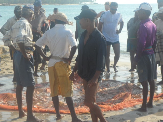 Fishermen checking out their catch for the day
