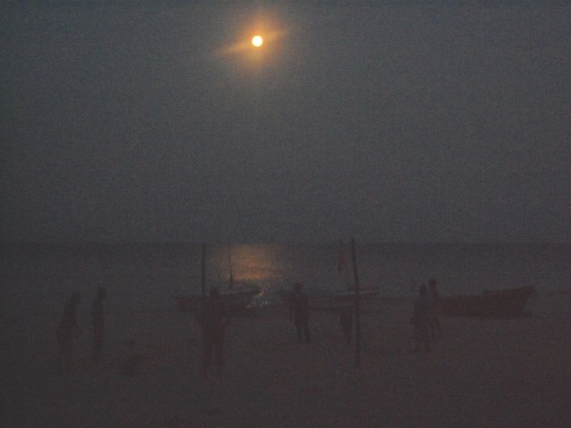 A game of beach volleyball under the moonlight