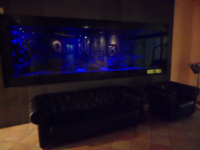Nemo and shark in Hotel Lobby