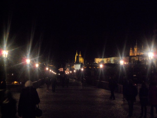 View of Charles Bridge Prague at Night