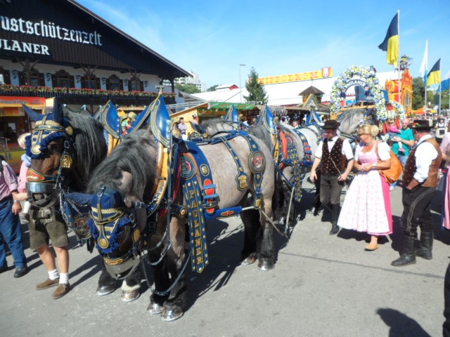 Take pictures with horses and beer barrels at Oktoberfest Germany Munich!
