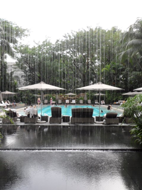 Swimming Pool Ritz Carlton Millenia Singapore