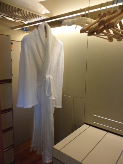 Wardrobe inside Premier Room Ritz Carlton