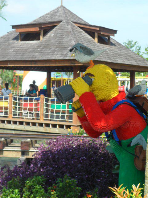 Guy peering at the waters at Legoland Malaysia