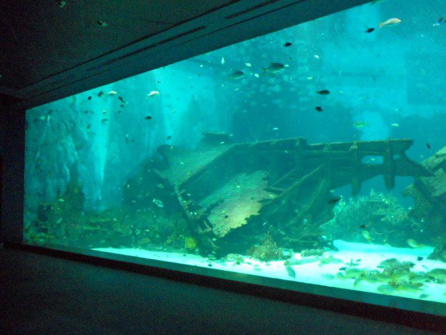 Sunken Ship at the S.E.A Aquarium – World’s Largest Aquarium