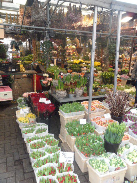 Flower Market Amsterdam