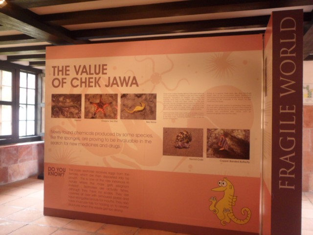 Chek Jawa Visitor Centre