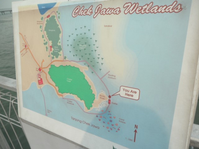 Map of Chek Jawa Wetlands