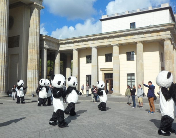 Pandas passing through Brandenburg Gate Germany