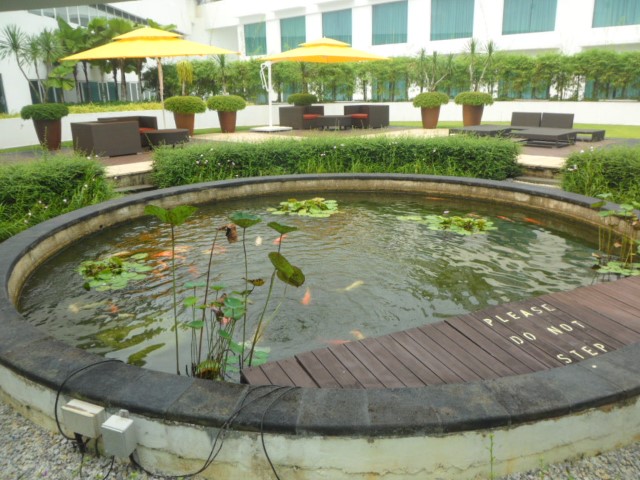 Koi Pond at level 6 of Village Hotel Changi – feeding available at $2 SGD