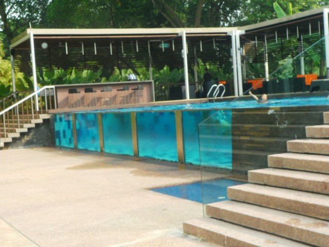 Village Hotel Changi Staycation Swimming Pool