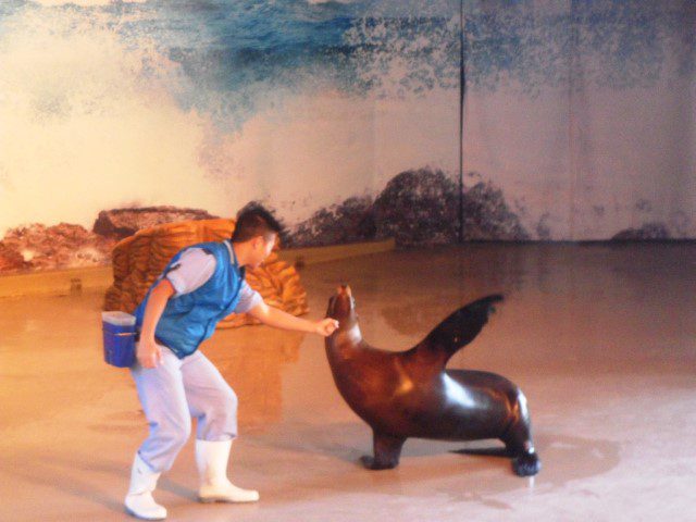 Sea Lion Show Ocean Park