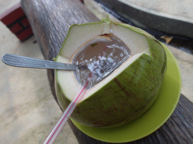 Freshly cut organic coconut from UK farm