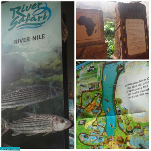 River Nile @ the River Safari 