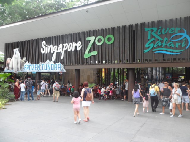 Ticketing Counters for the Singapore Zoo, Night Safari and River Safari
