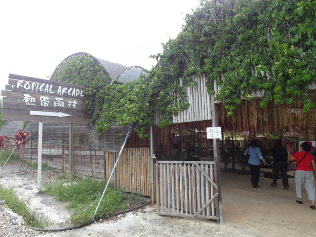 Tropical Arcade at UK Agro Resort Farm