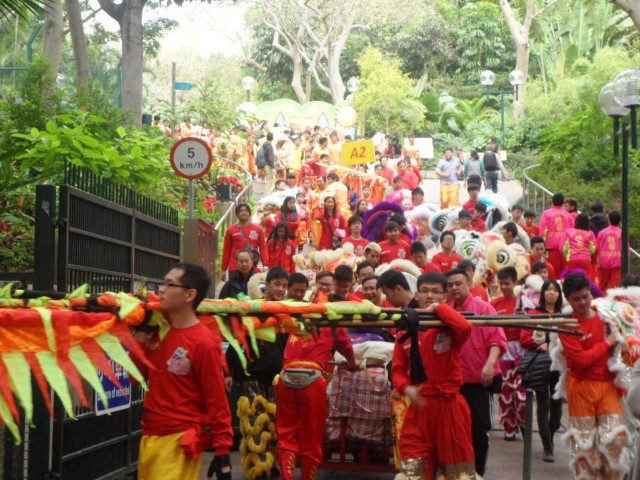 Lion Dance Troupe