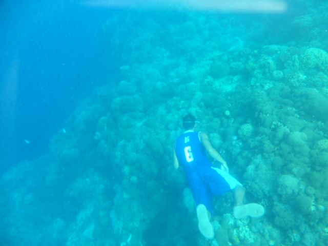 Snorkelling off Balicasag Island - Our guide diving in basketball jersey!
